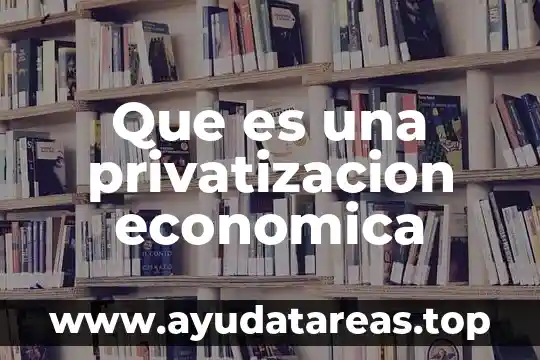 Que es el respeto a la justicia social y economica 3 Que es una privatizacion economica