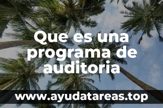 Que es una programa de auditoria