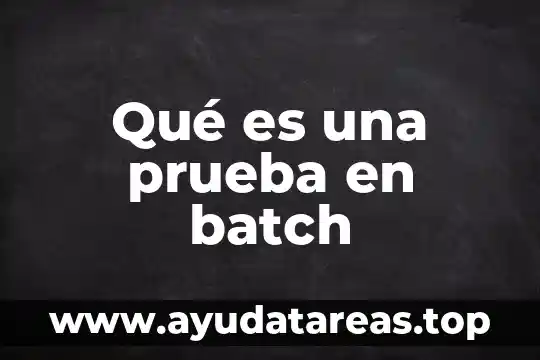 Qué es una prueba en batch