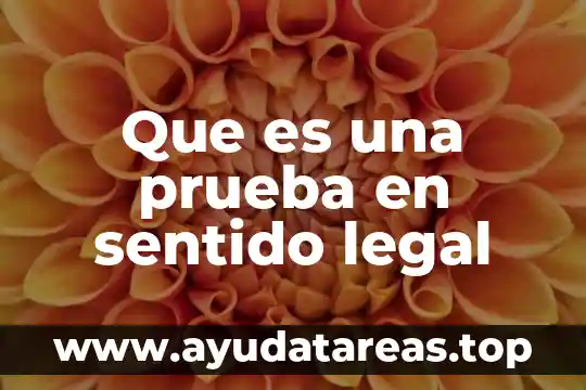 Qué es ser en el doble sentido tijeras 8 Que es una prueba en sentido legal