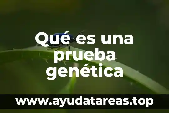 Que es la genetica importancia del agua 8 Qué es una prueba genética