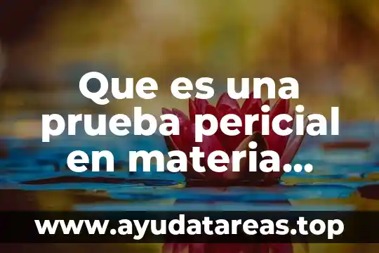 Que es prueba de agua y tono de maquillaje 8 Que es una prueba pericial en materia mercantil