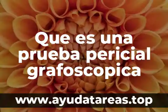 Que es prueba de spirometria 5 Que es una prueba pericial grafoscopica