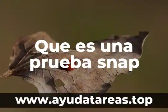 Que es una prueba snap