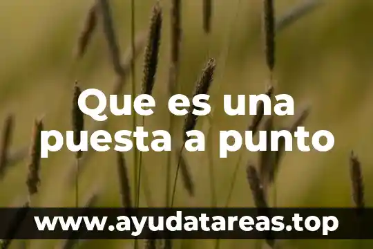 Que es una puesta a punto
