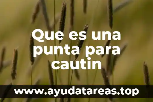 Que es el punta talon en manejo 8 Que es una punta para cautin