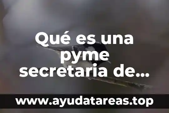 Qué es una pyme secretaria de economía