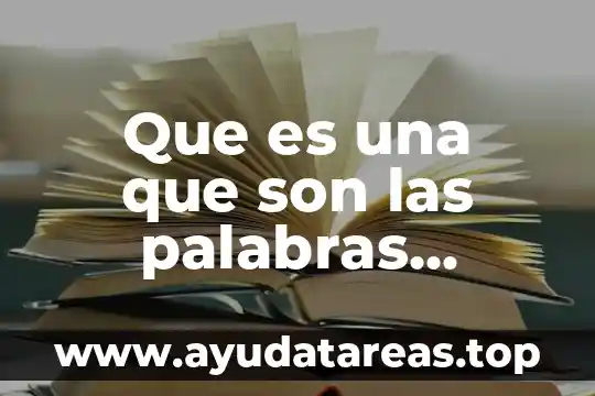Que es una que son las palabras homofonas