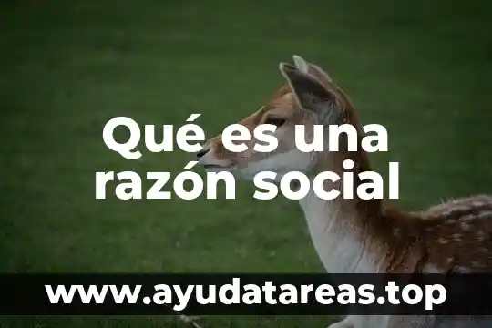 Qué es una razón social