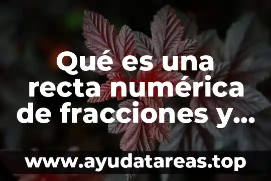 Qué es una recta numérica de fracciones y decimales