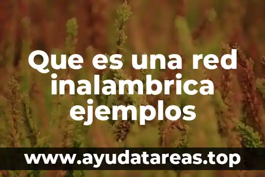 Que es patronímico ejemplos 8 Que es una red inalambrica ejemplos