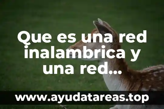 Que es una red inalambrica y una red alambrica