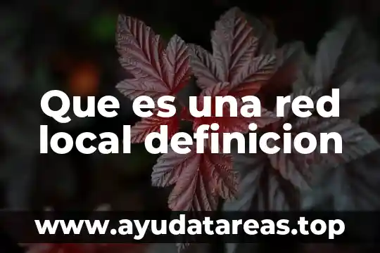 Que es una red local definicion