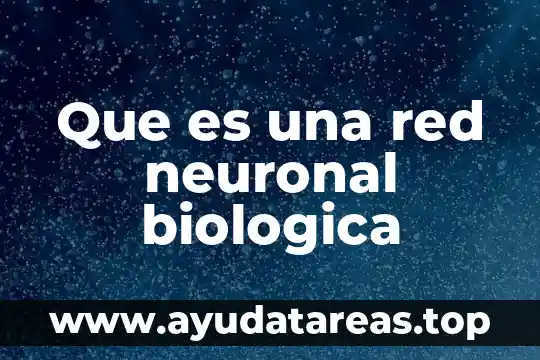 Que es una red neuronal biologica