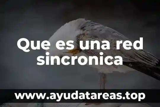 Que es una red sincronica