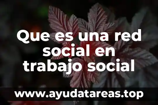 Que es una red social en trabajo social
