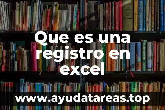 Que es una registro en excel