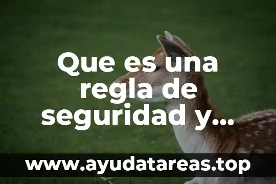 Que es una regla de seguridad y regla de higiene