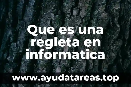 Que significa o que es un arbitracion en informatica 8 Que es una regleta en informatica