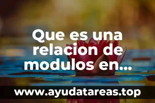 Que es una relacion de modulos en informatica financiera