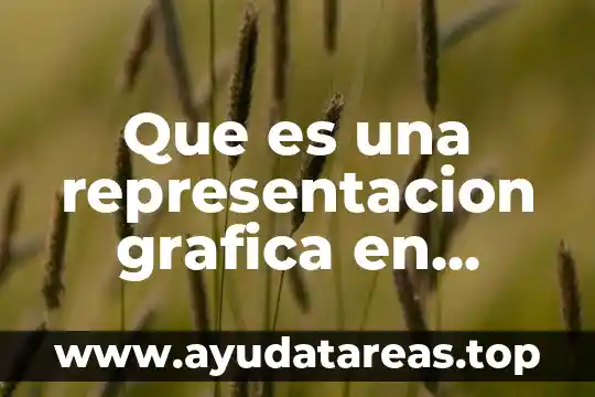 Que es una grafica y sus diferentes tipos rn 7 Que es una representacion grafica en informatica