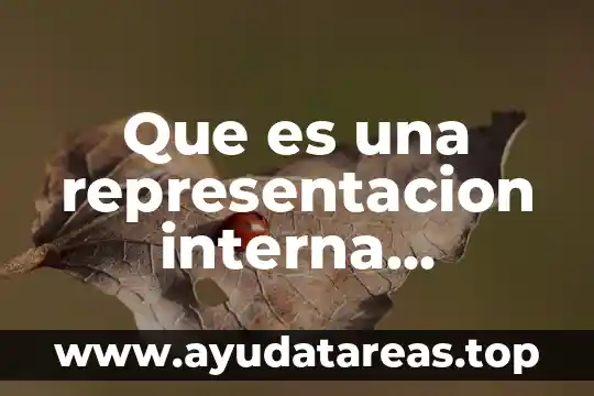 Que es una representacion interna metodologia