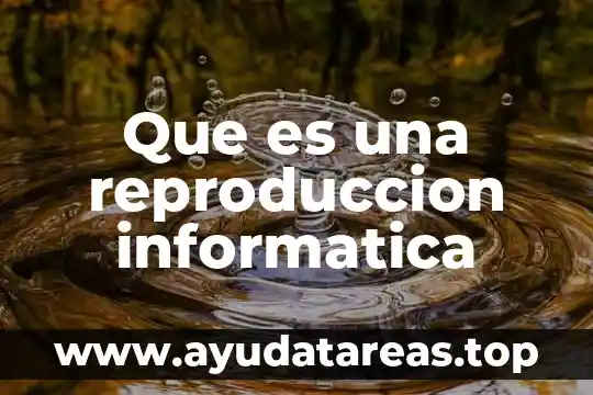 Que es reproduccion asexual tipos 5 Que es una reproduccion informatica