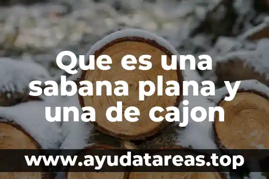 Que es una sabana plana y una de cajon