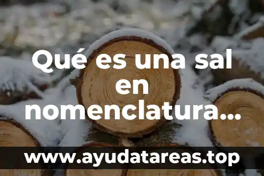 Que es agua de hidratacion en quimica 5 Qué es una sal en nomenclatura química