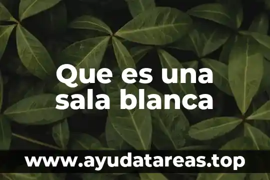 Que es una sala electrónica 7 Que es una sala blanca