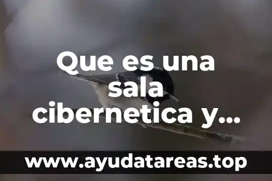 Que es una sala electrónica 3 Que es una sala cibernetica y electronica