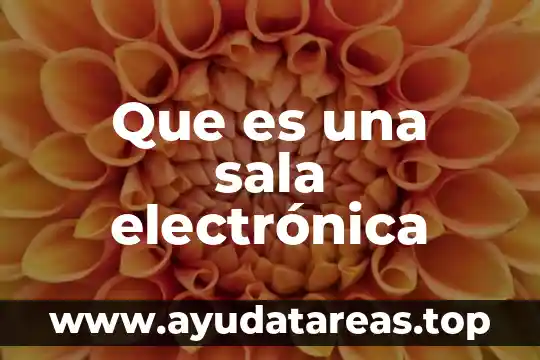 Quinta sala regional nezahualcóyotl que es 8 Que es una sala electrónica