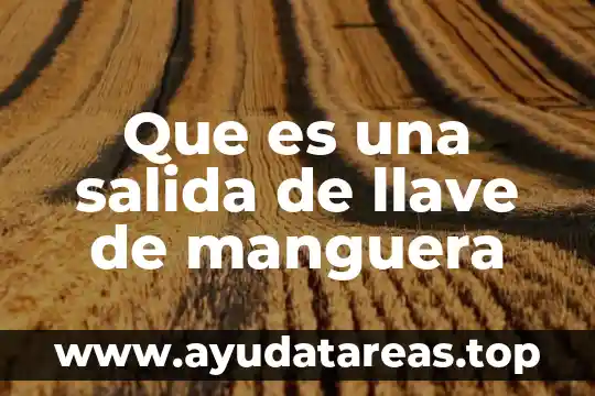 Definición de que es el verdadero amor 6 Que es una salida de llave de manguera