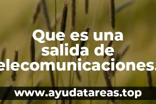 Que es una salida de telecomunicaciones para multiples usuarios muto