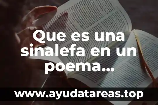 Que es una sinalefa en un poema ejemplos