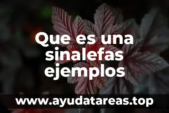 Qué es significa comunicación ejemplos 6 Que es una sinalefas ejemplos