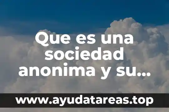 Que es una sociedad cvil 6 Que es una sociedad anonima y su generales