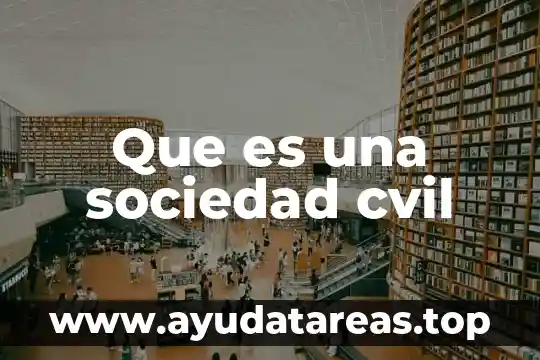 Que es una sociedad anonima y su generales 6 Que es una sociedad cvil