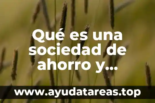 Qué es una sociedad de ahorro y préstamo
