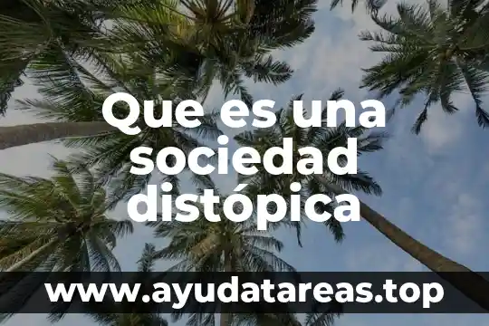 Que es una sociedad anonima y su generales 3 Que es una sociedad distópica