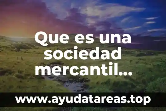 Que es una sociedad mercantil trackid sp-006