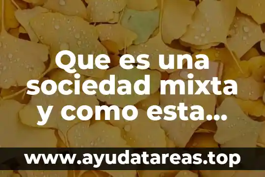 Que es una sociedad mixta y como esta conformada
