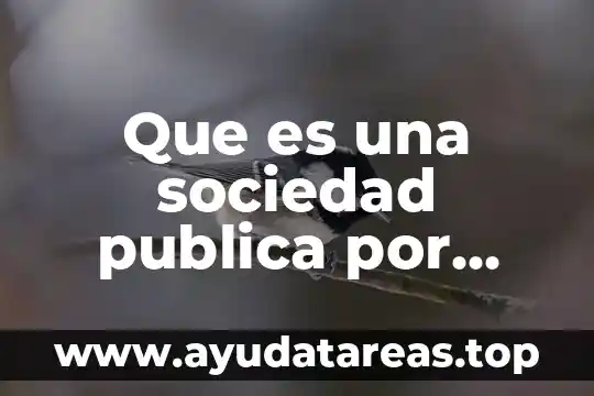 Que es una sociedad anonima y su generales 7 Que es una sociedad publica por acciones