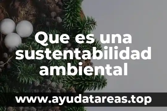 Que es una sustentabilidad ambiental