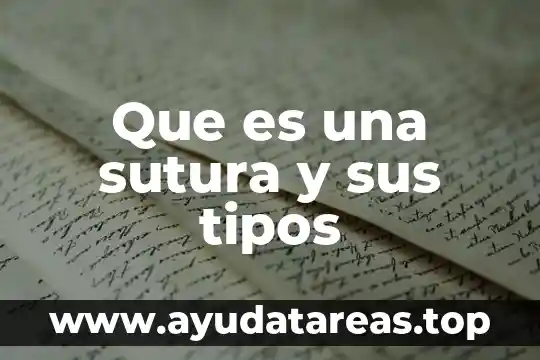 Que es un personaje y sus tipos 3 Que es una sutura y sus tipos