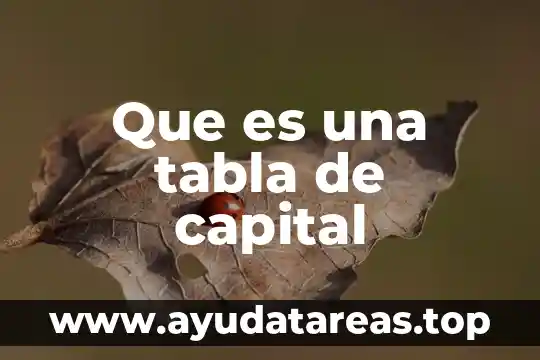 Qué es cociente y decreciente significado 3 Que es una tabla de capital