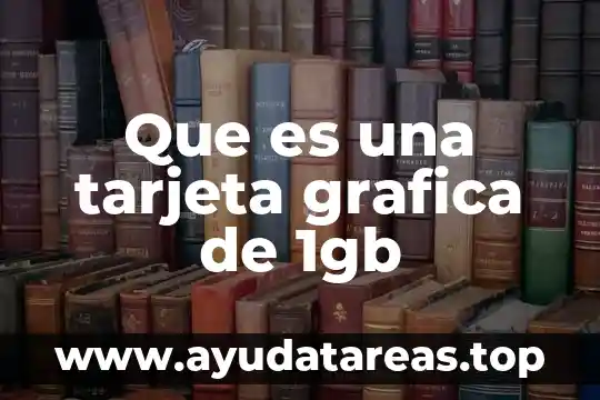 Que es una tarjeta grafica de 1gb