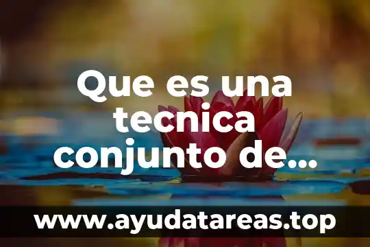 La definición de contabilidad parte de que es una técnica 7 Que es una tecnica conjunto de habilidades reglas y operaciones