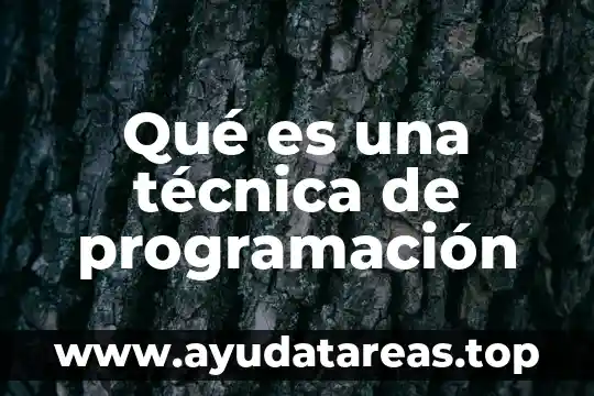 La definición de contabilidad parte de que es una técnica 8 Qué es una técnica de programación