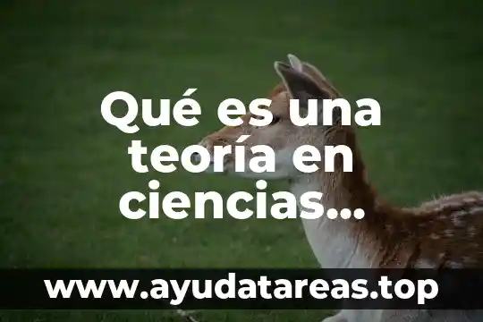 Qué es una teoría en ciencias sociales